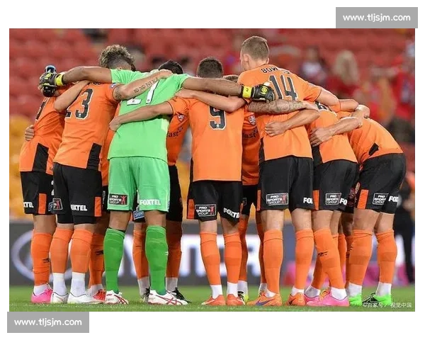 狮吼与中央对决背后的历史渊源与文化碰撞分析